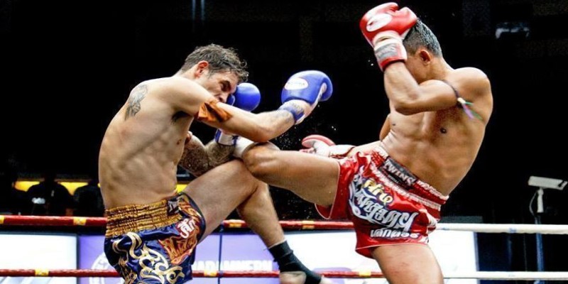 Giới thiệu cá cược boxing XO88