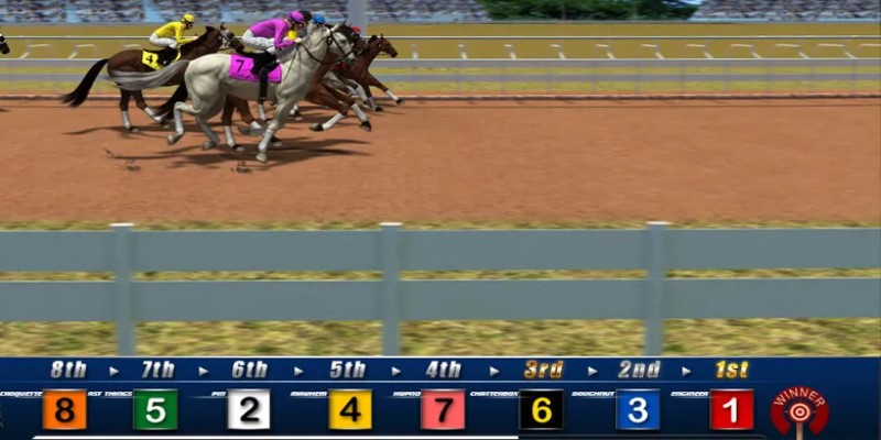 Một số cách chơi cá cược đua ngựa online XO88 hiệu quả