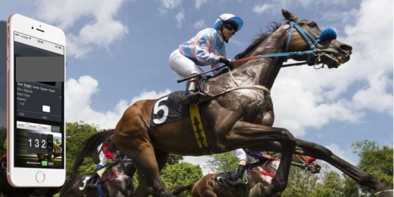 Ưu điểm vượt bậc khi trải nghiệm đua ngựa online tại XO88