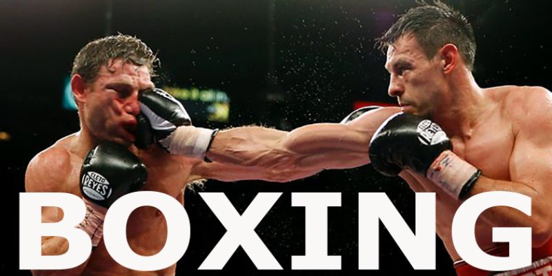 Các loại hình cá cược boxing XO88 chất lượng